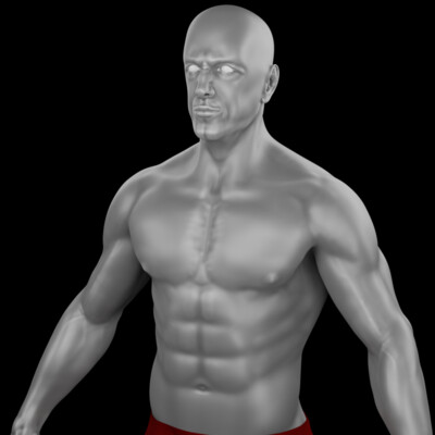 3d human model