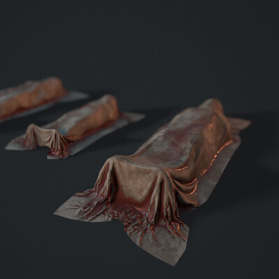 Dead bodies