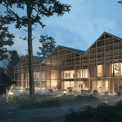 Middle school in the forest