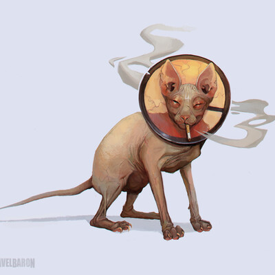 Кот!