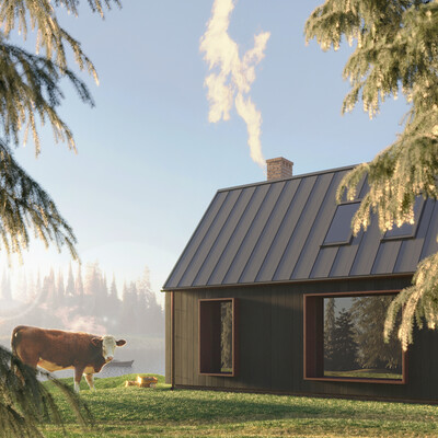 Cow Agneta