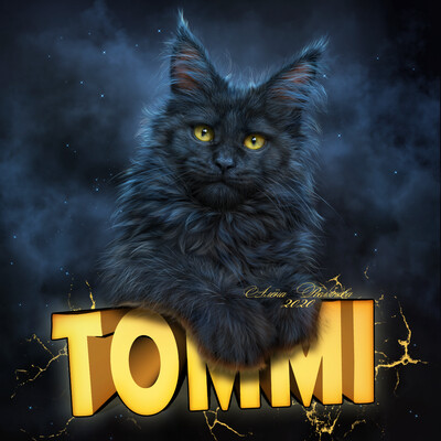 Томми