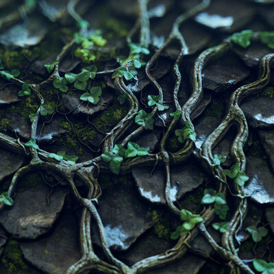 Roof Tile