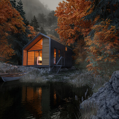 Autumn forest