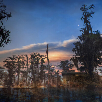 Swamp