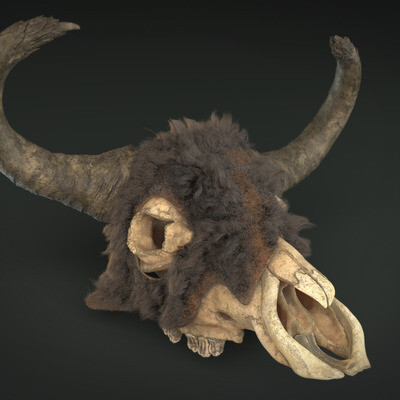Buffalo Scull
