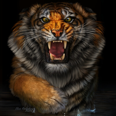 The mood to growl