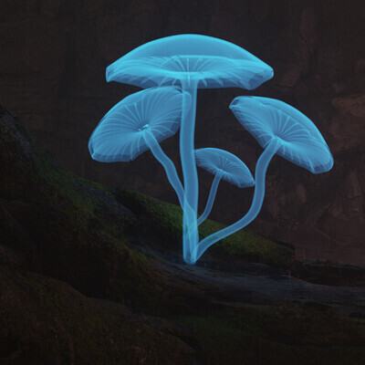 mushrooms