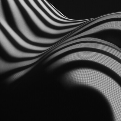 Зебры Lucien Clergue.