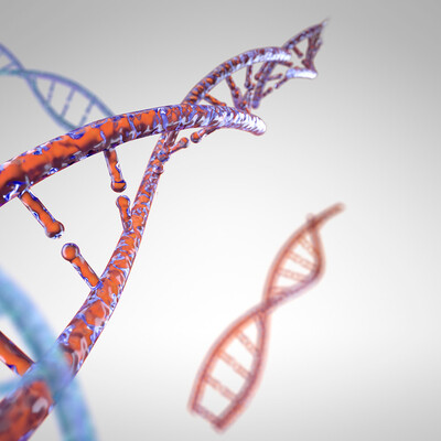 3D model DNA
