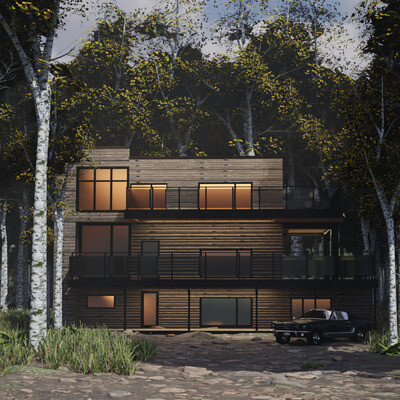 House in the woods