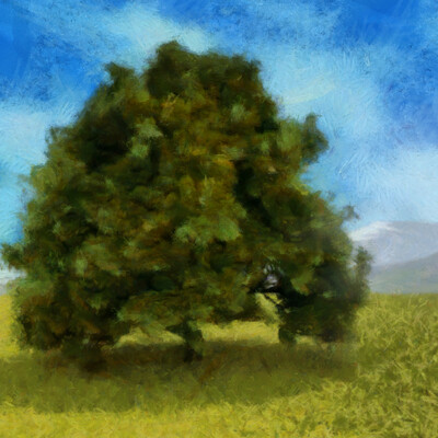 Поле перед горами