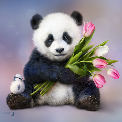 Spring panda