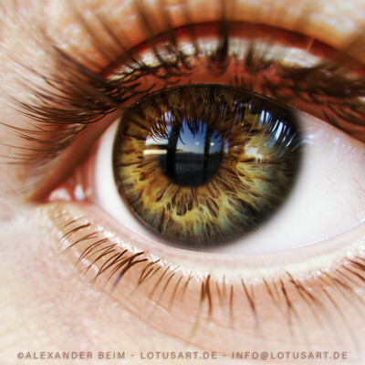 3D Photorealistic Eye