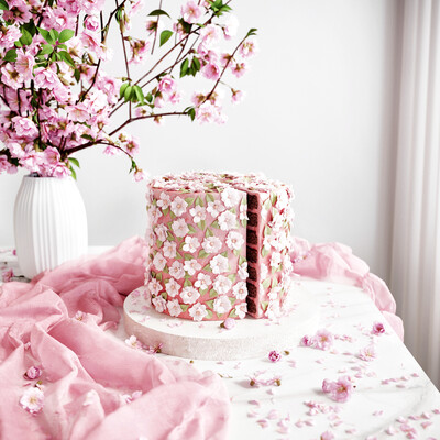 CGI Pink Cake 3D