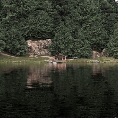 Forest Lake