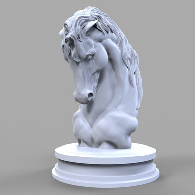 Torso of a horse