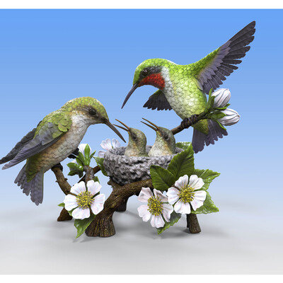 Hummingbird