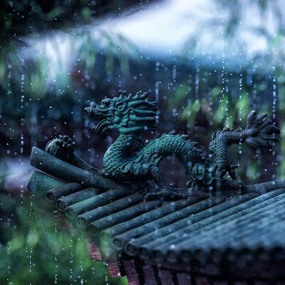 CGI Rain 3D