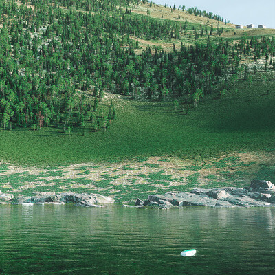 Landscape