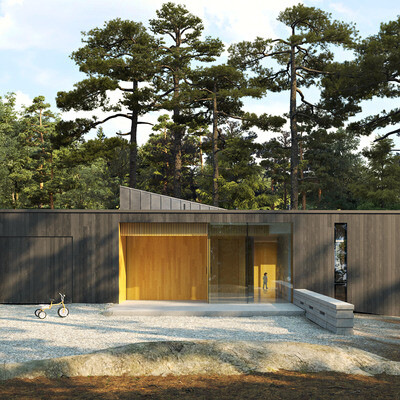 Визуализация экстерьера lake Manitouwabing Residence