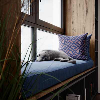 LIVING ROOM and kitty