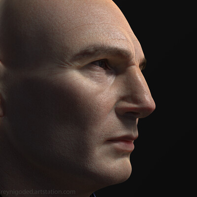 Liam Portait rerendering