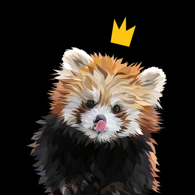 Red panda