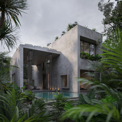 Aviv house