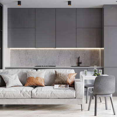 Apartment visualization / for rent