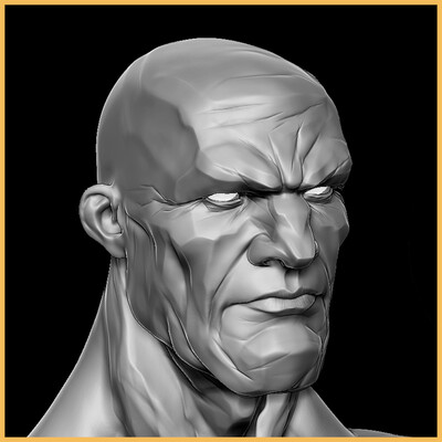 3D SCULPTS