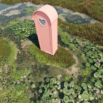 Романтичкская 3D фантазия — Кувшинки.