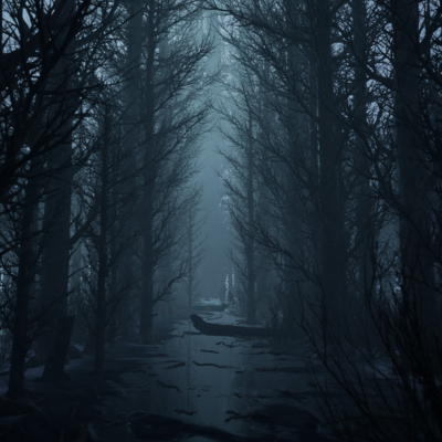 Туманный Лес