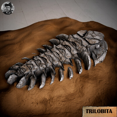 TRILOBITA