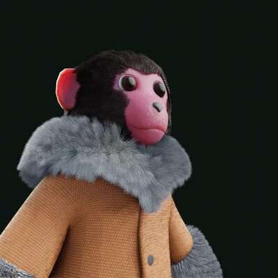 Arctic Monkey | Арктическая обезьяна