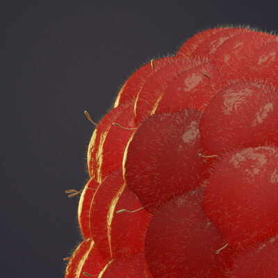 Raspberries