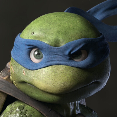 Turtles Leonardo