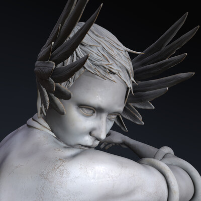 medusa