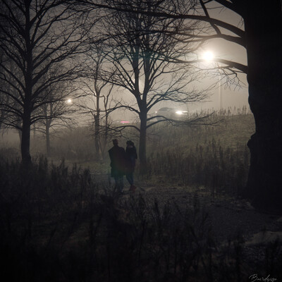 In the fog.