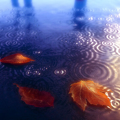 Reflections of the fall