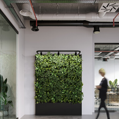 Living Walls