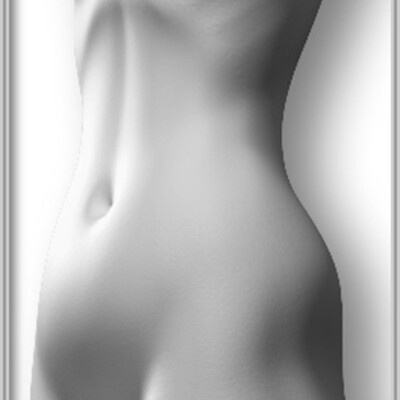 The body