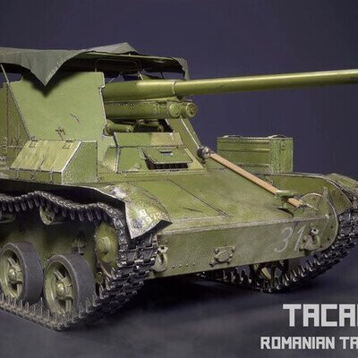 Tacam T-60