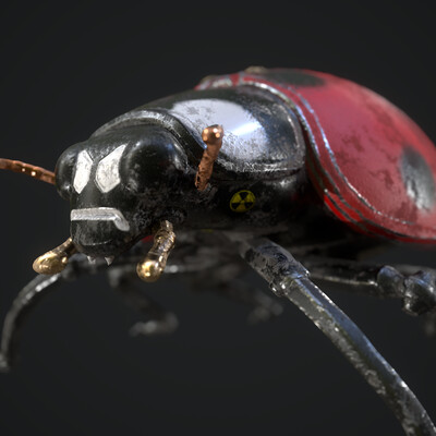 LADYBUG-2021