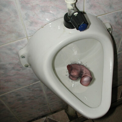 гость