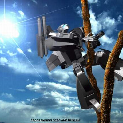 Macroson