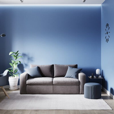 BLUE ROOM