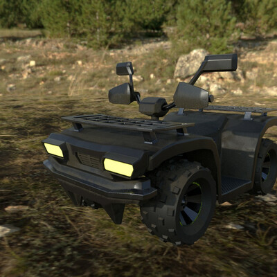 Quad Bike