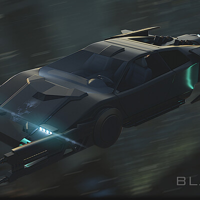 BLACK FURY