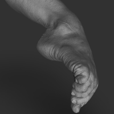 Ballerina's leg